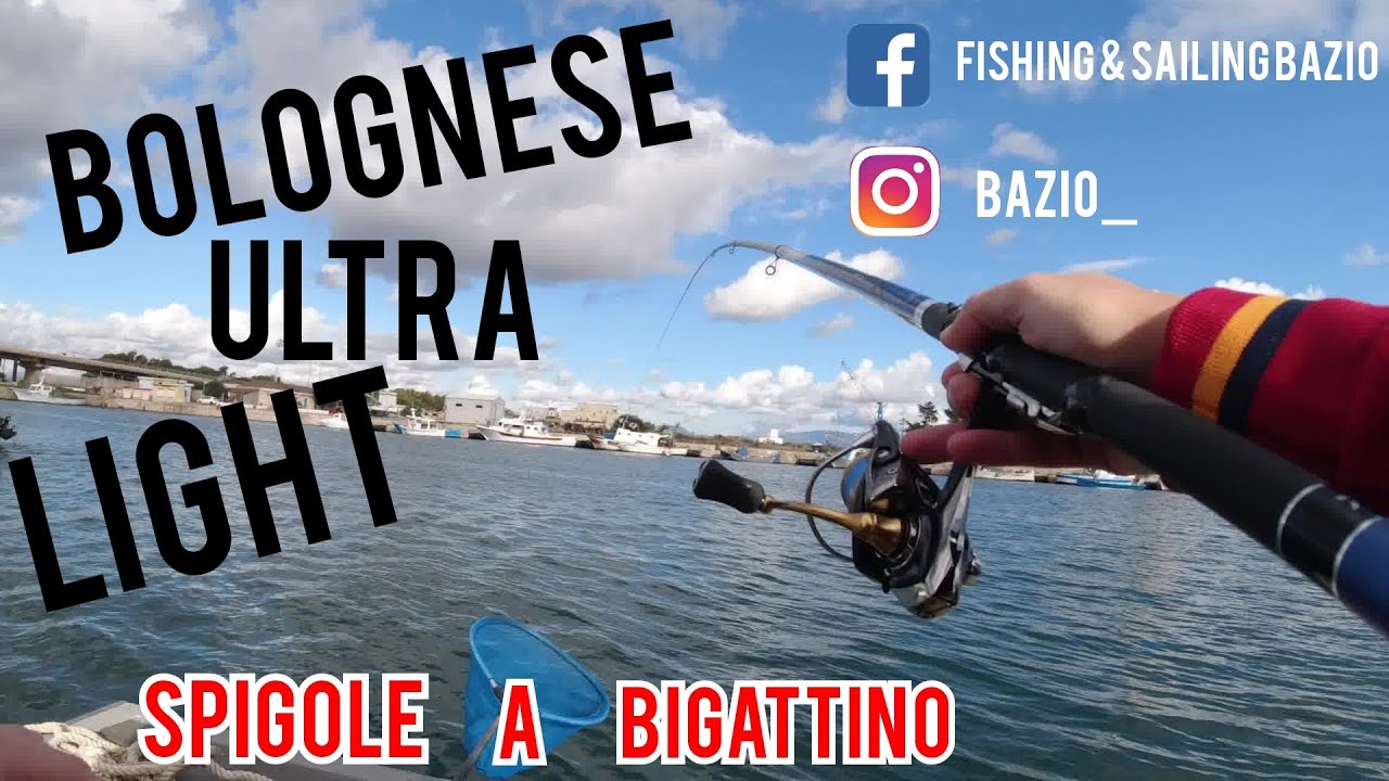 PESCA alla SPIGOLA con la BOLOGNESE.