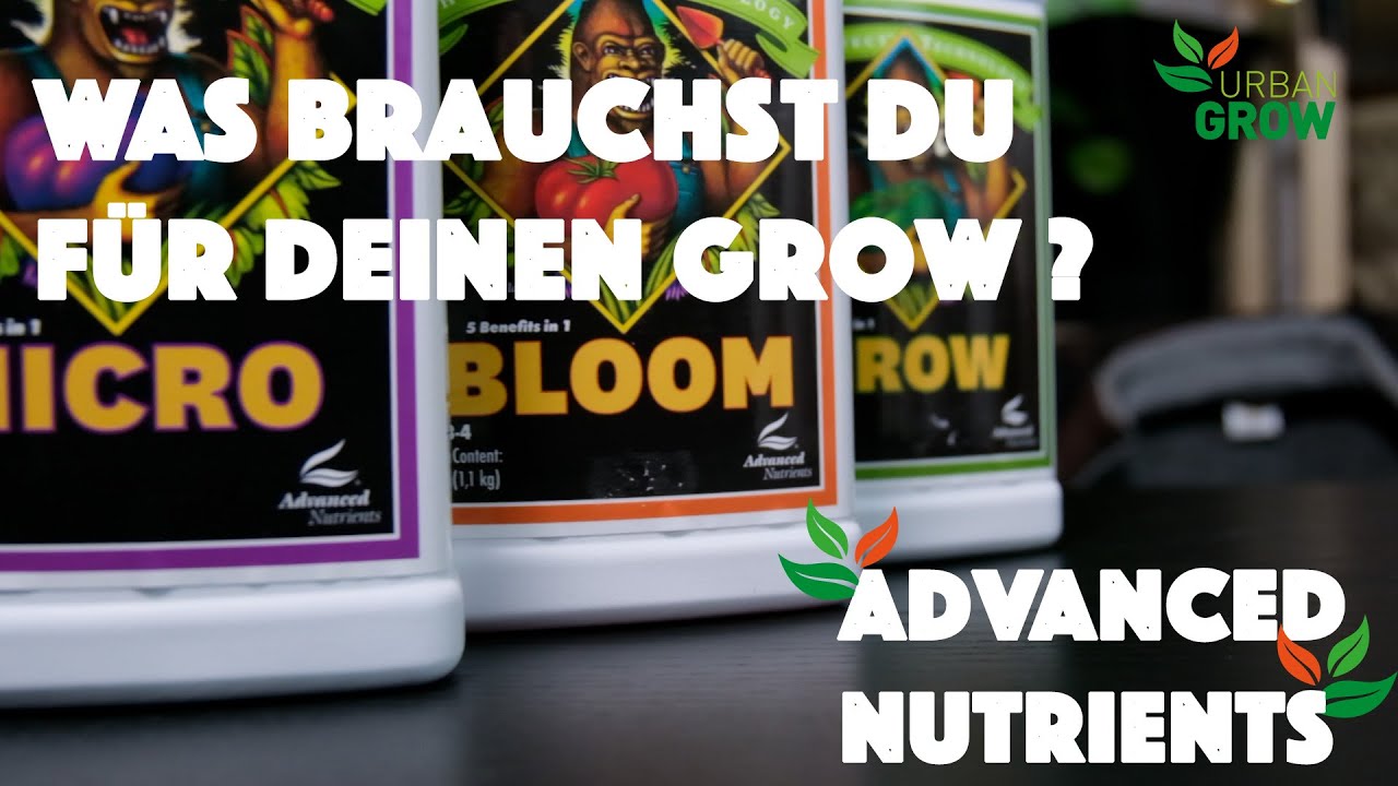 Advanced Nutrients // Viele bunte Flaschen; welche f&uuml;r deinen Grow? Mick erkl&auml;rt's euch 🌱