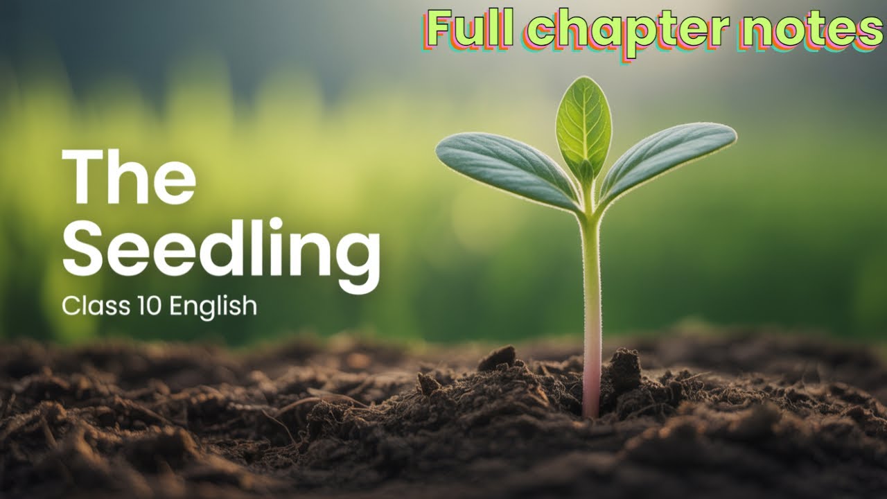 🌱 The Seedling – Full Chapter Notes | Class 10 English | Summary, Poetic Devices
