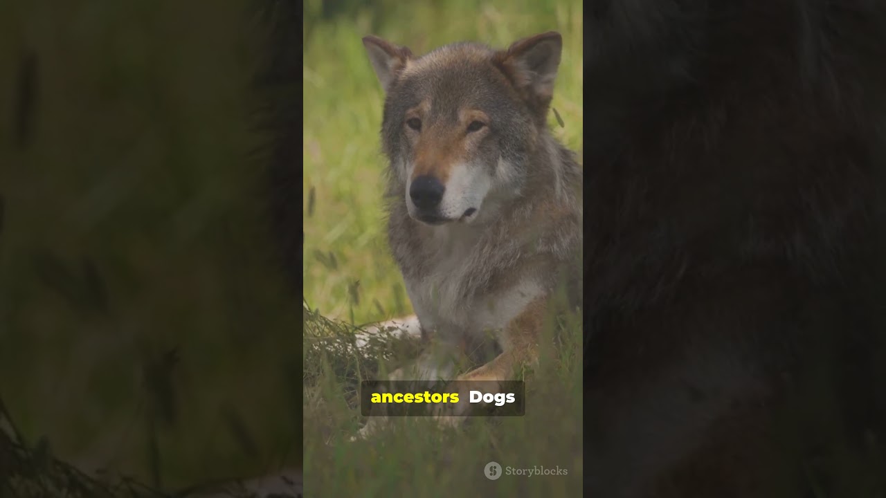 Why don't you know that? 