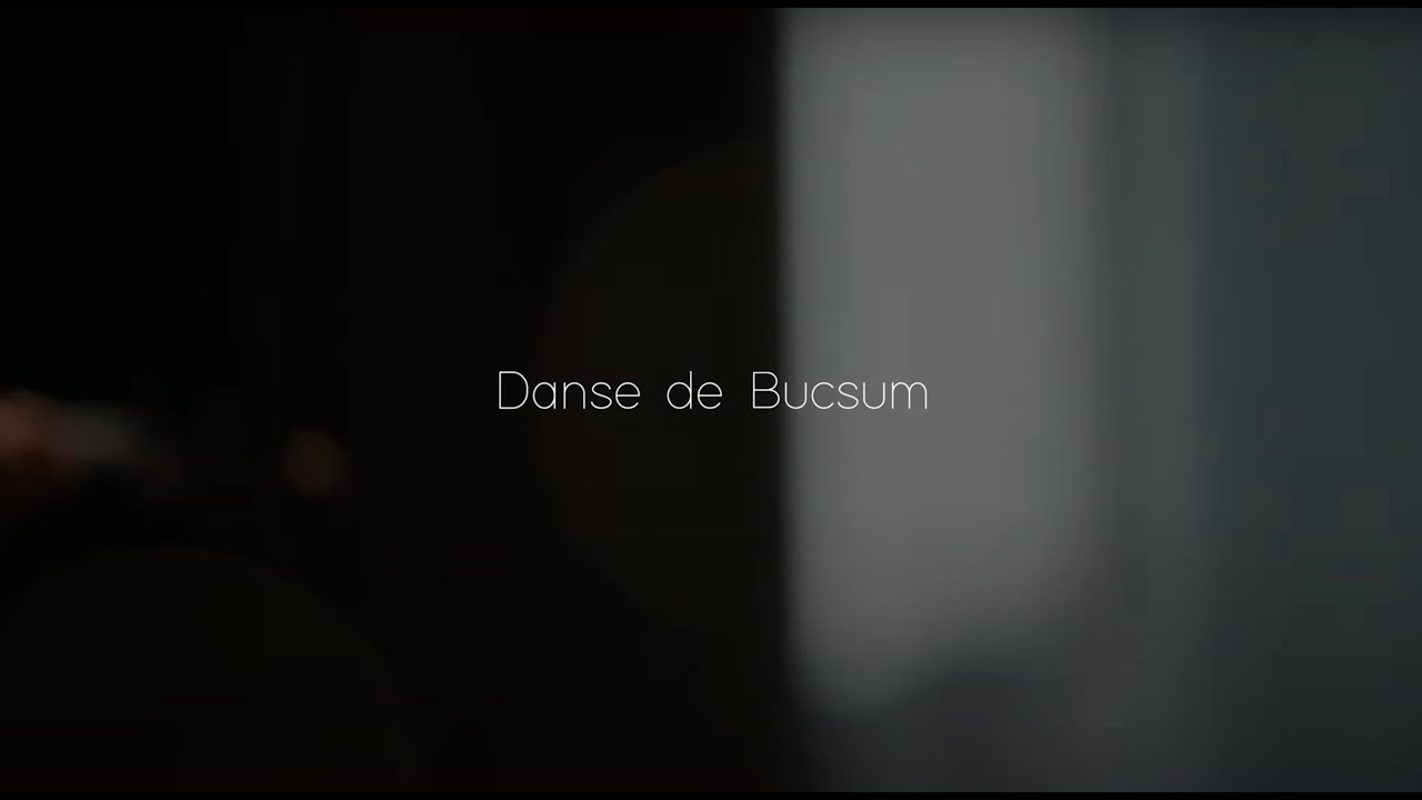 Danse de Bucsum - Mistral - Live Session