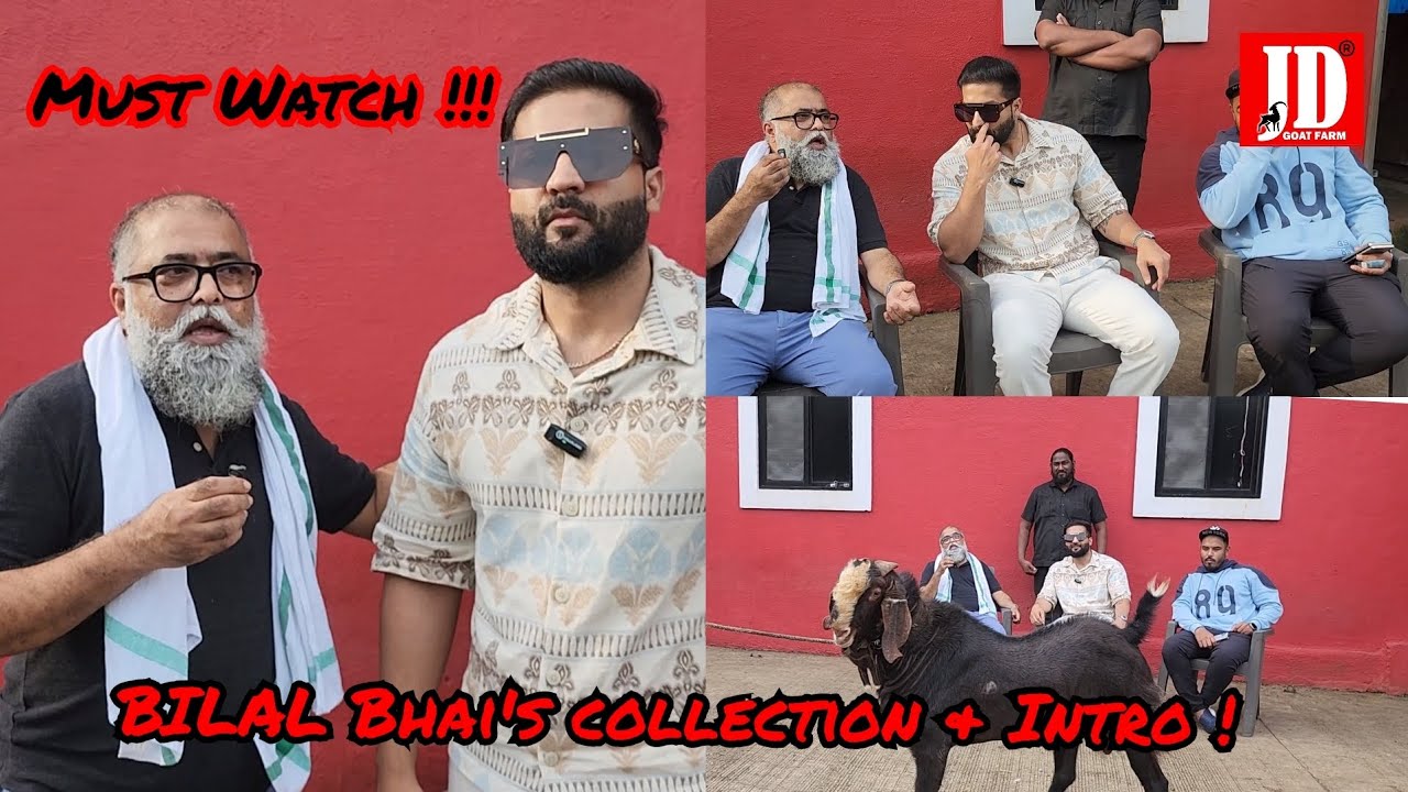 Outstanding Collection Of Bilal Bhai and Introduction at JD Goat Farm