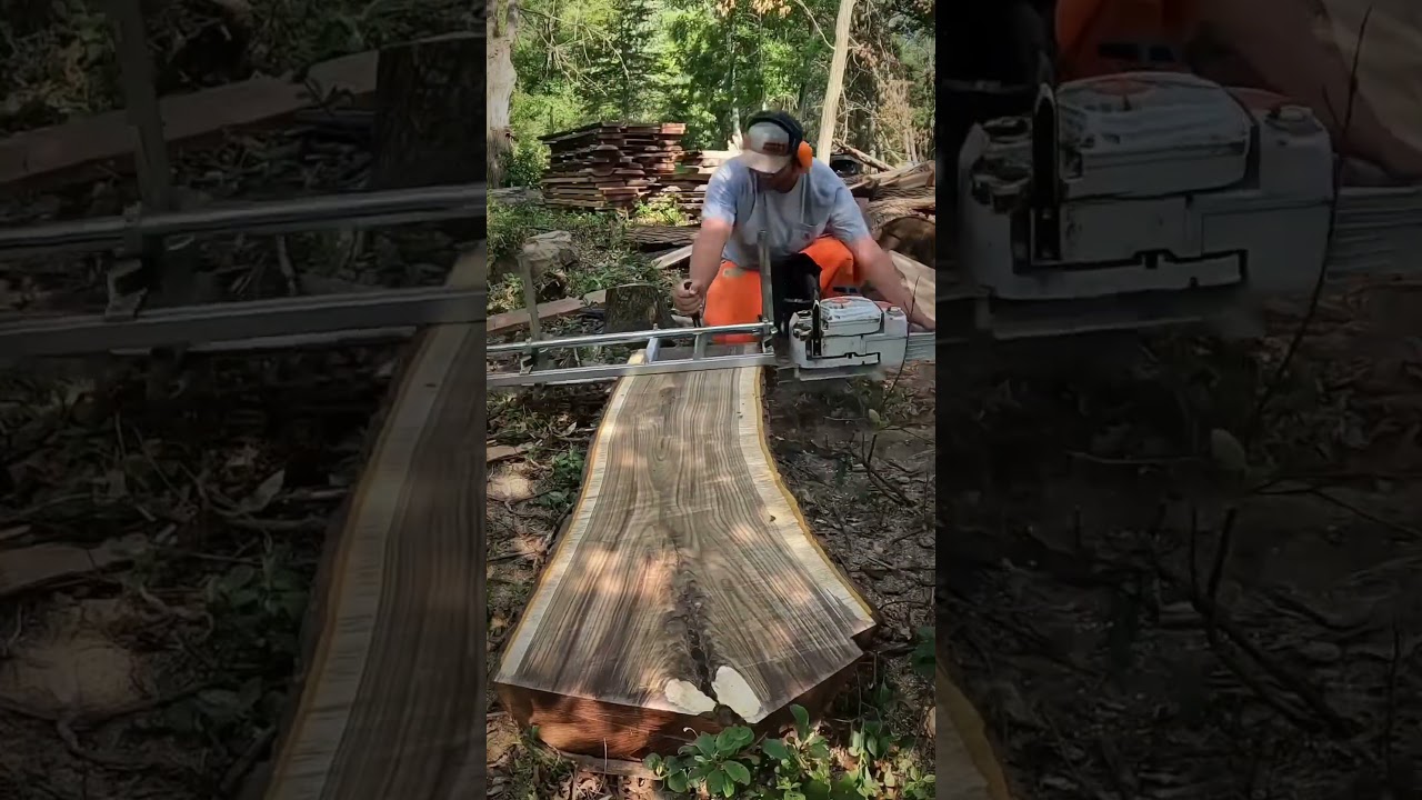 The Perfect Black Walnut Coffee Table Slabs!