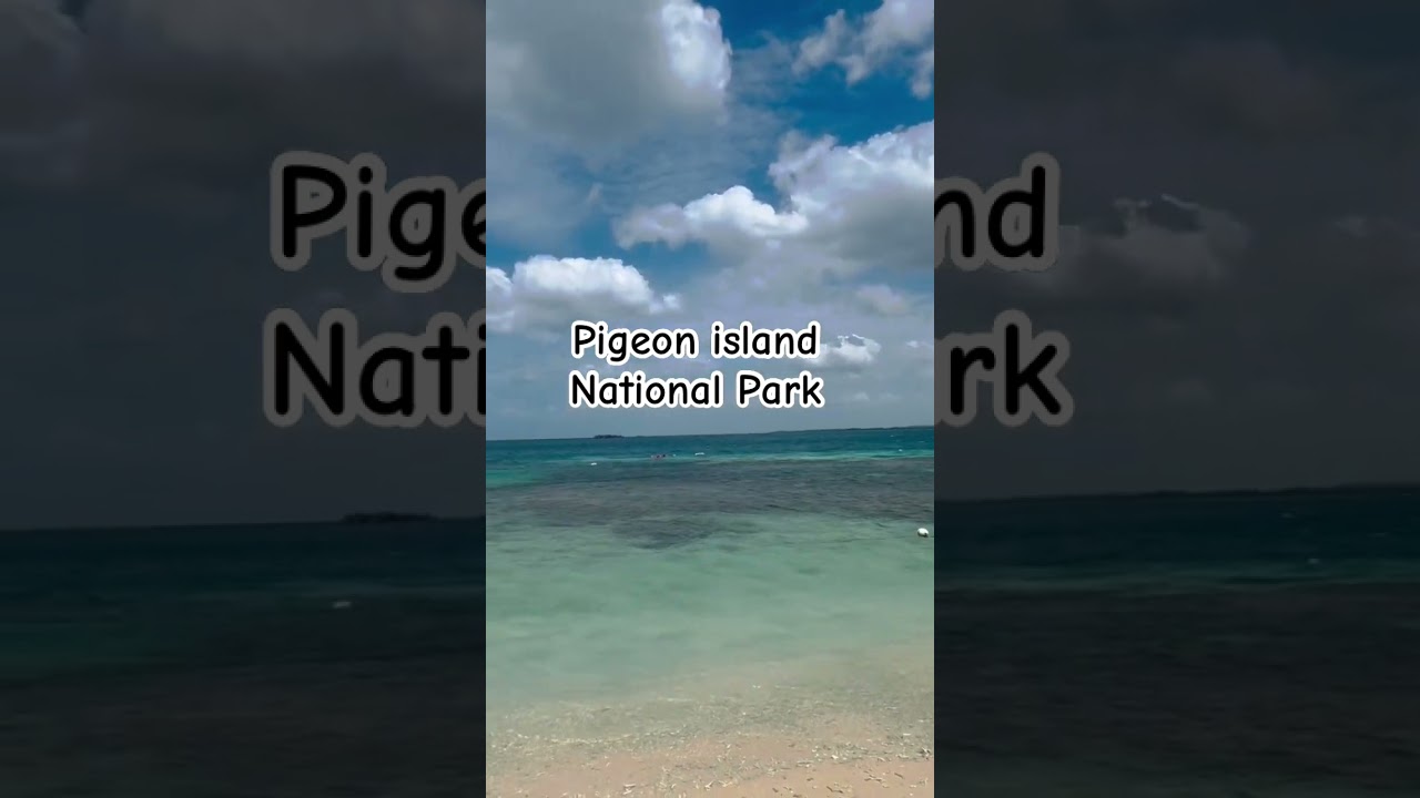 Pigeon Island National Park - Trincomalee 🏝️ #pigeonisland #trincomale #srilanka #travel #nature