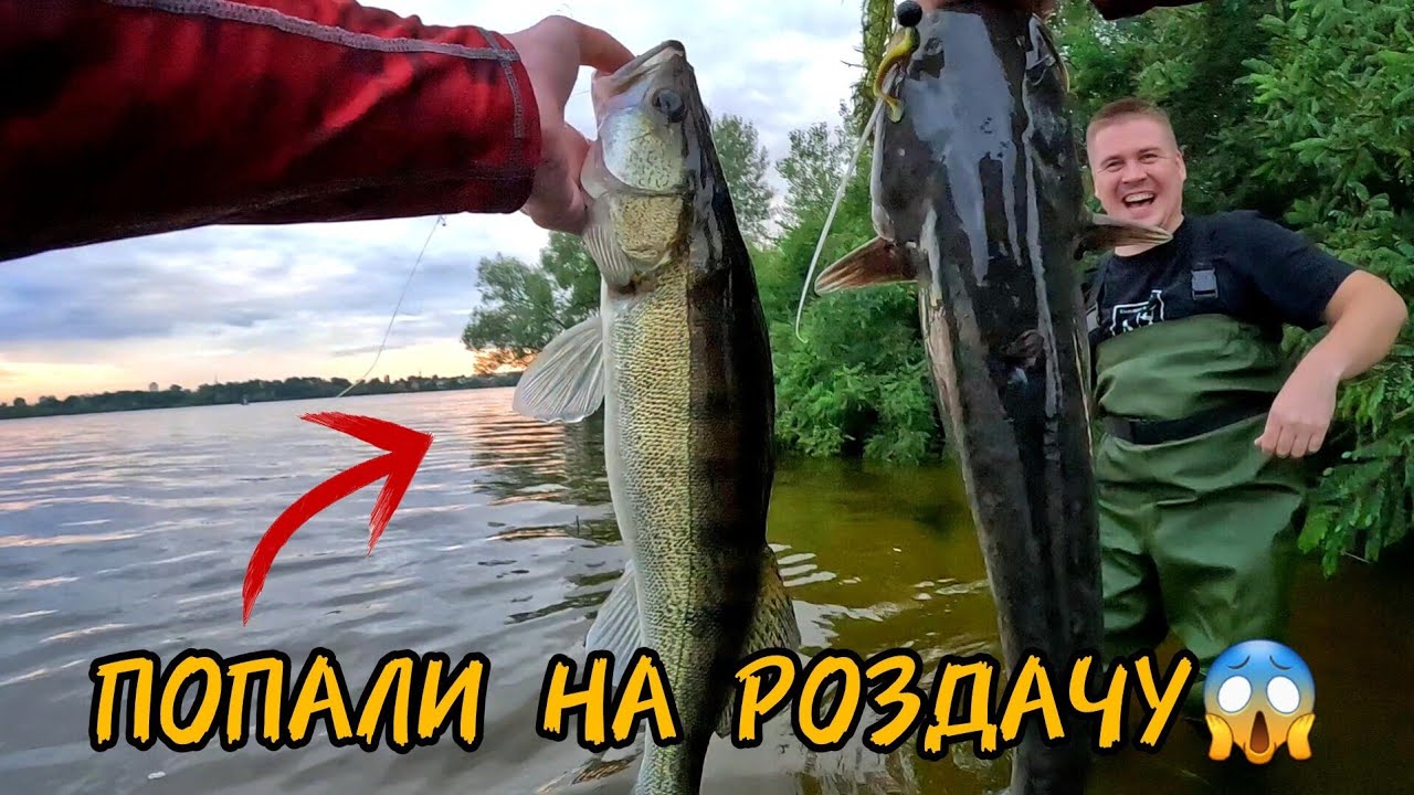⚠️КЛЮВАЛО ДУПЛЕТАМИ! Божевільна Рибалка на Дніпрі