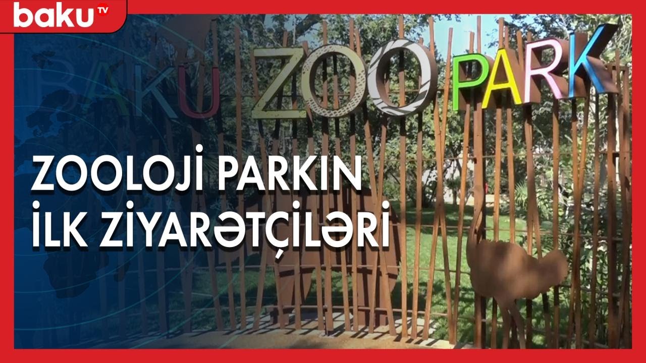Sakinlərin gözlədiyi zoopark yeni görkəmdə - Baku TV