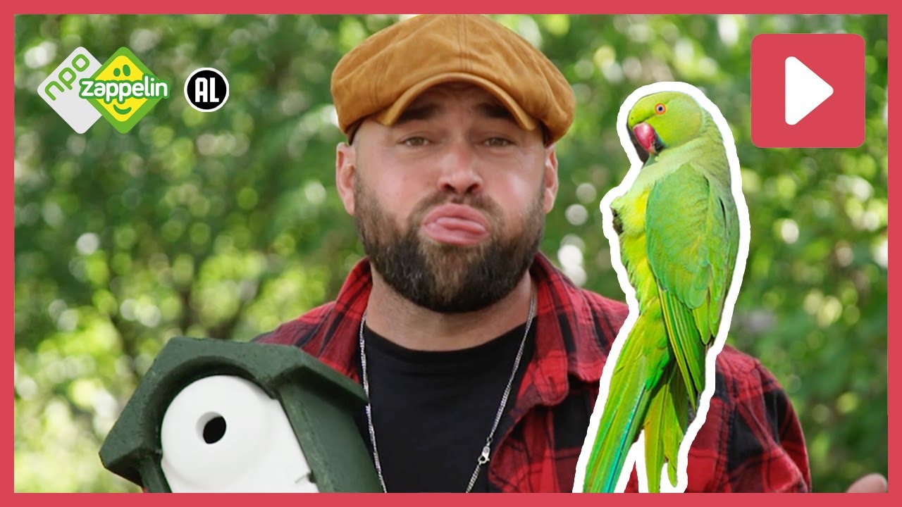 KAN BOSWACHTER TIM EEN HALSBANDPARKIET NADOEN? 🦜 | Beestenbrigade Stadsdieren | NPO Zappelin