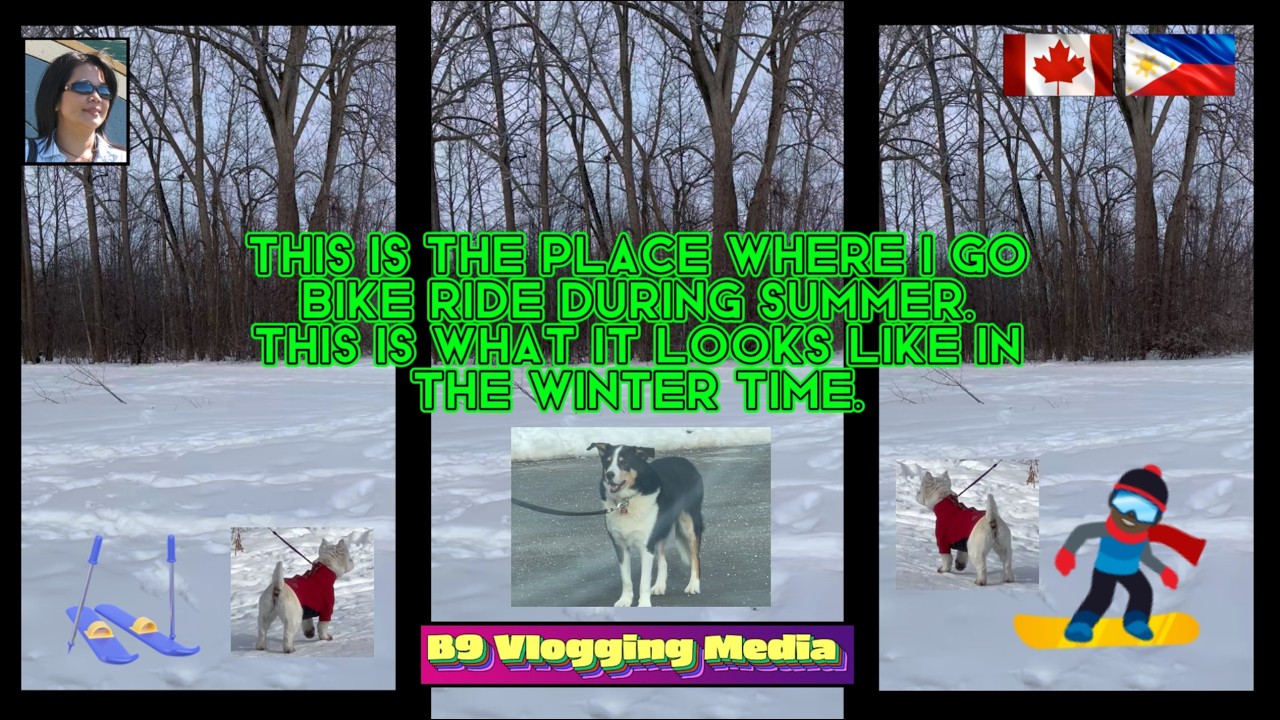 B9 VLOGGING MEDIA IS LIVE: ANDREW HAYDON PARK WINTER VIBE #WH-UPDATE 02/19/2026. 4K
