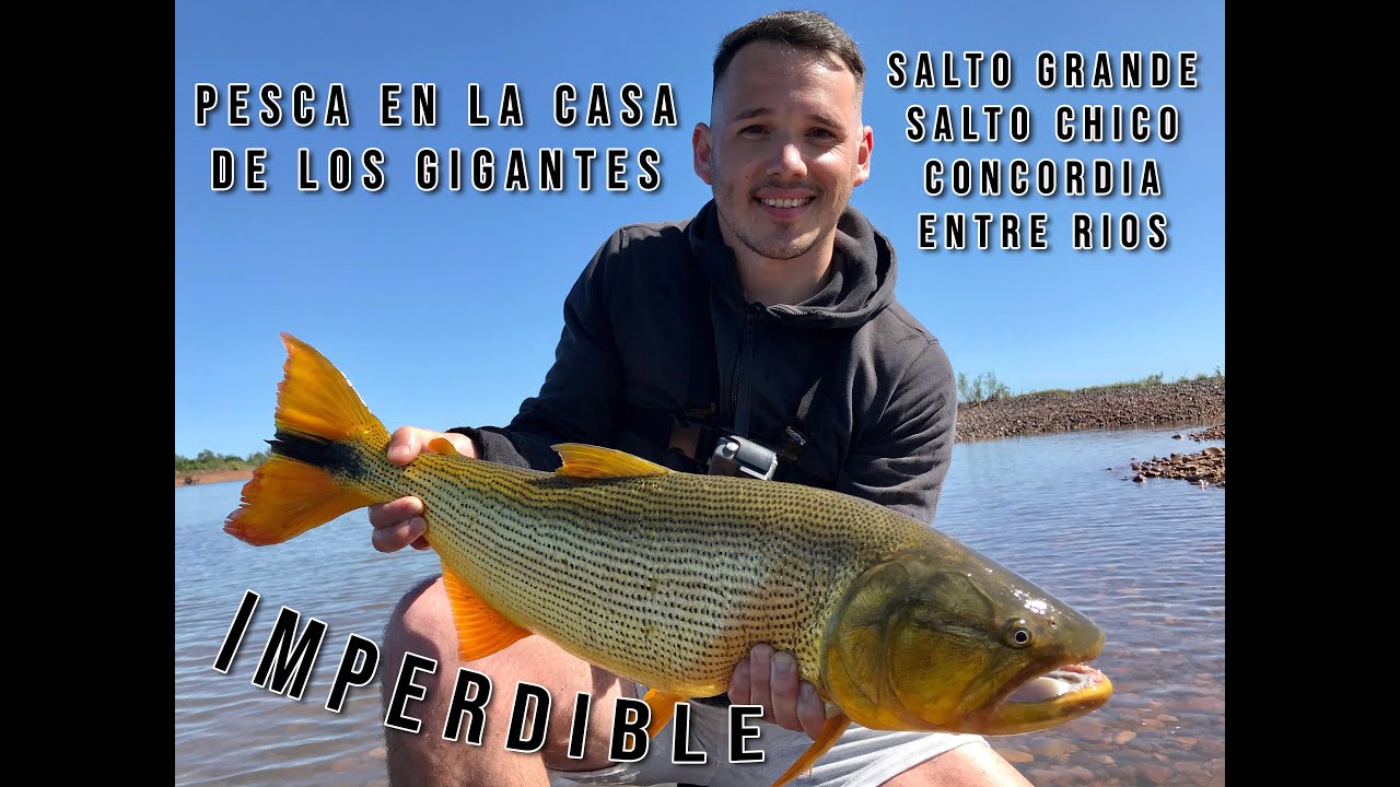 CASA DE GIGANTES! Pesca de Dorados en Concordia 🎣 😍