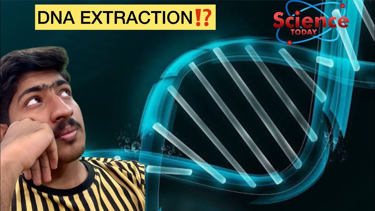 DNA extraction Practical at LUMHS, molecular biology & Genetics department.