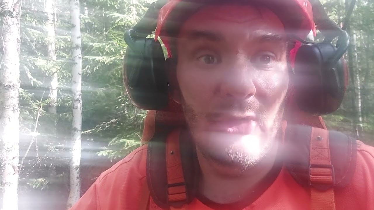 Metsäinen tervehdys,ennakkoraivaus työmaalta!