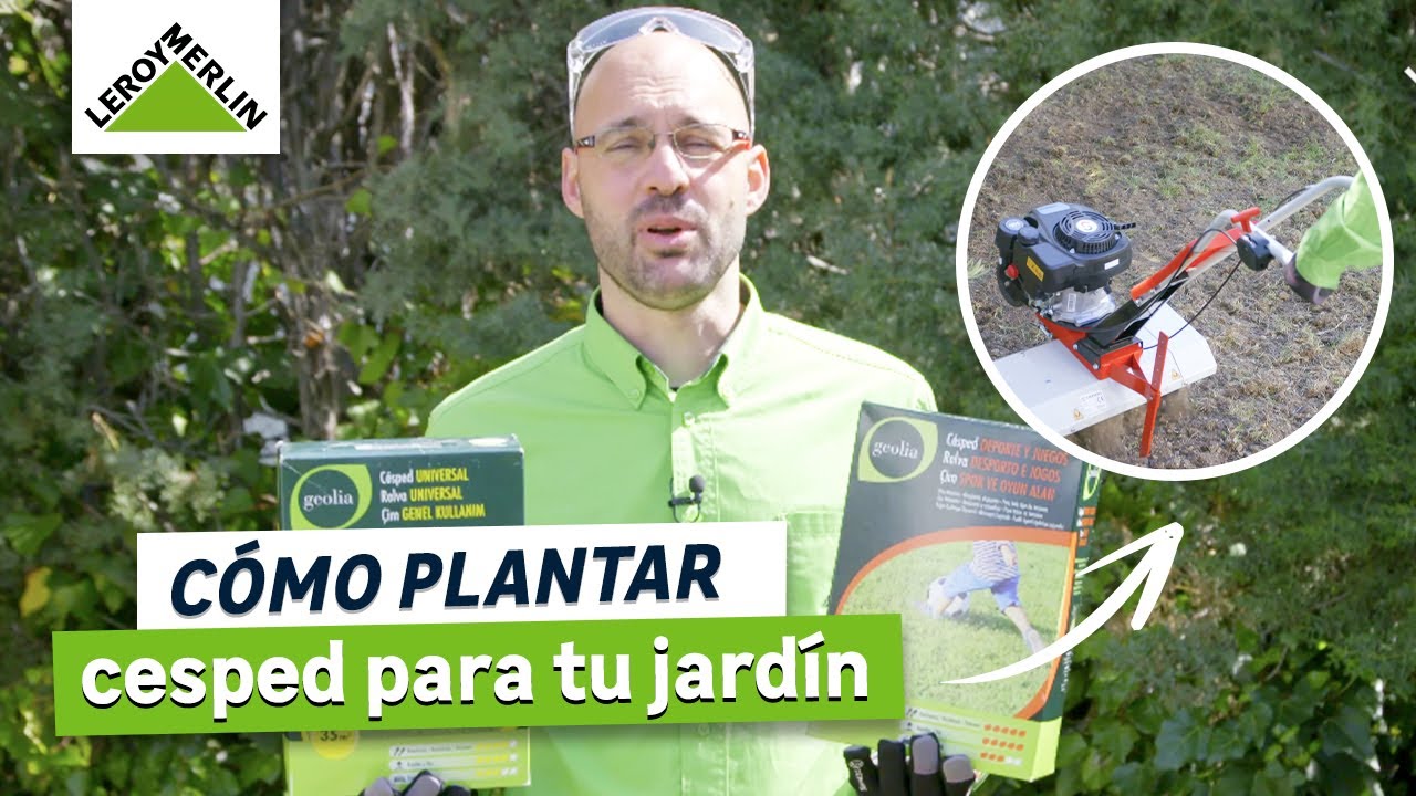 C&oacute;mo plantar c&eacute;sped para jard&iacute;n | LEROY MERLIN