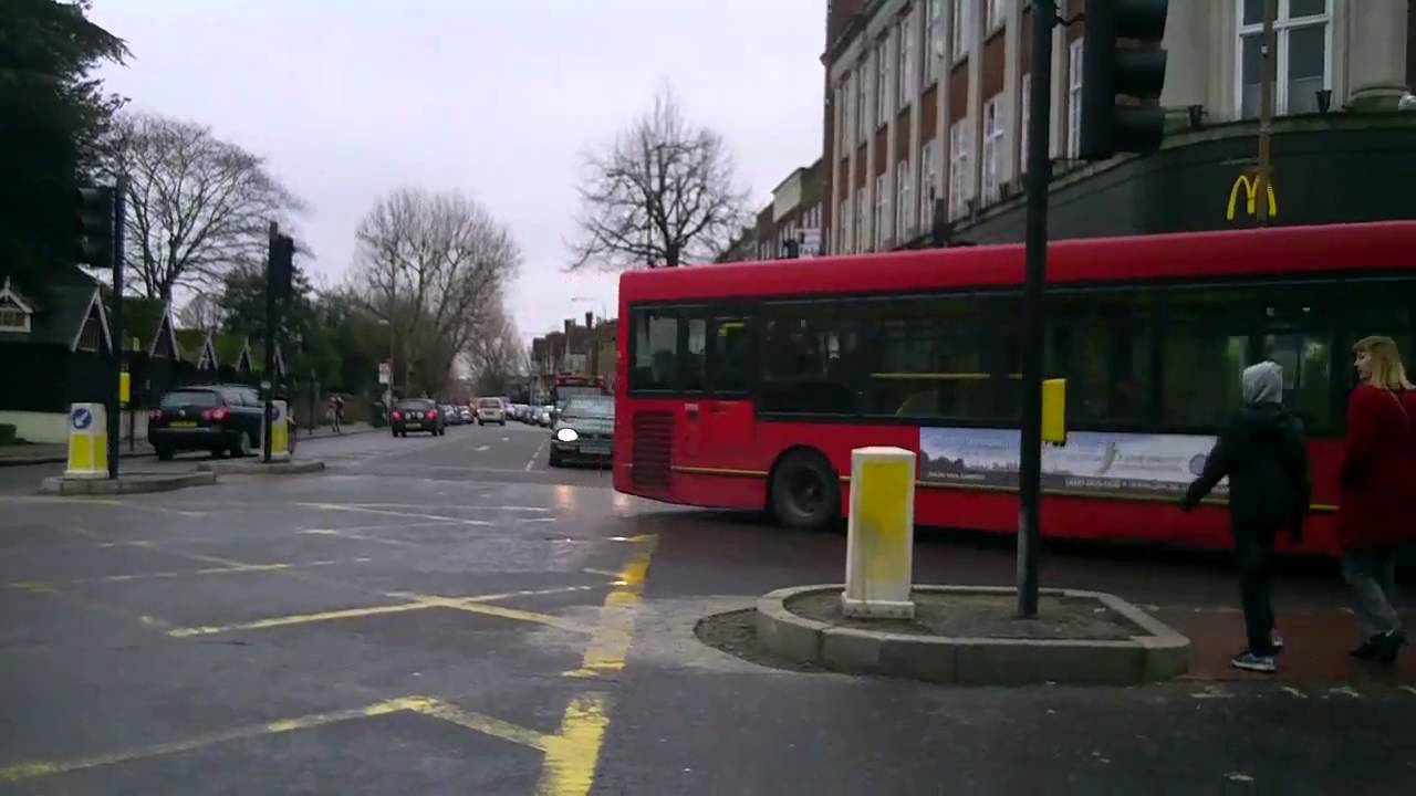 Eltham: February 2011 Winter Observations