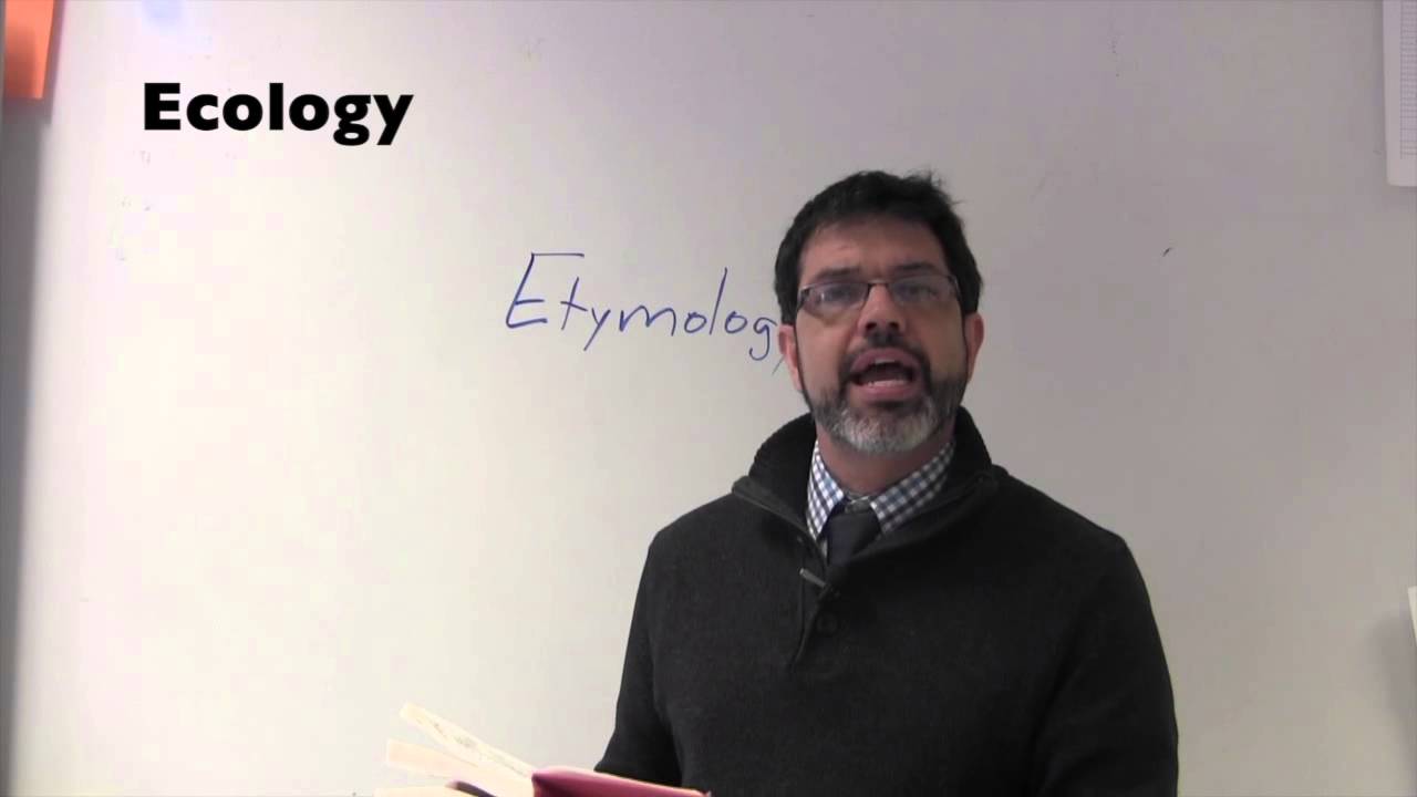How to Find Etymology