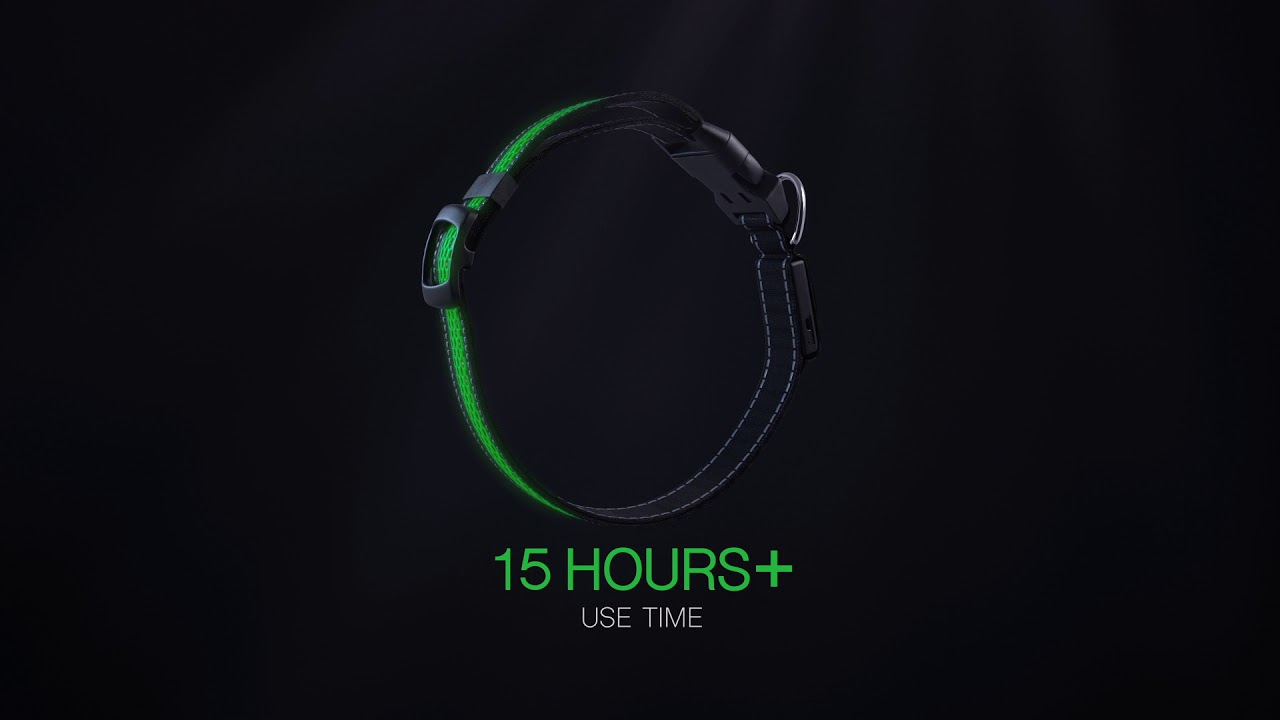 4Paws Tech RGB LED Waterproof collar