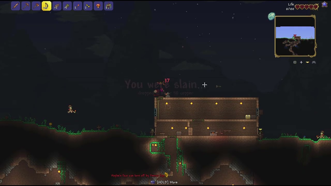 Terraria_20260103134328