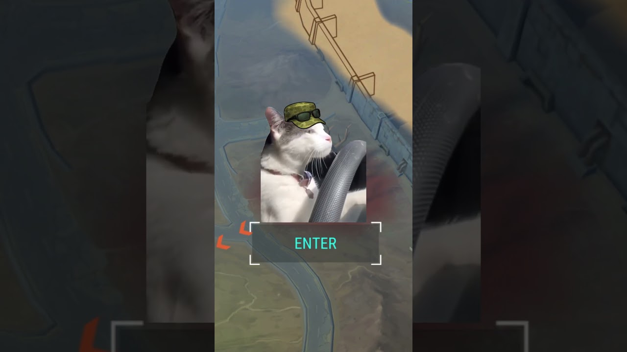 Last Day on Earth &ndash; Survivalist Cats #ldoe #gaming #memes #cat  #survival