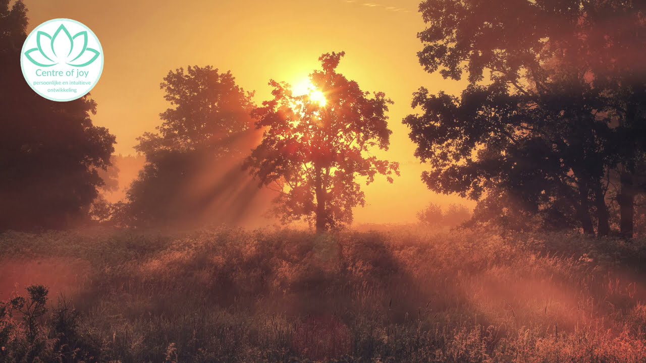 Ochtendmeditatie om je dag vol geluk, licht en kracht te starten