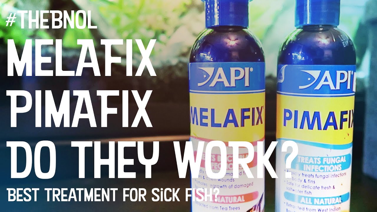 Melafix - Pimafix - Does it work? Treating sick fish - My Experiences | Bear Necessities