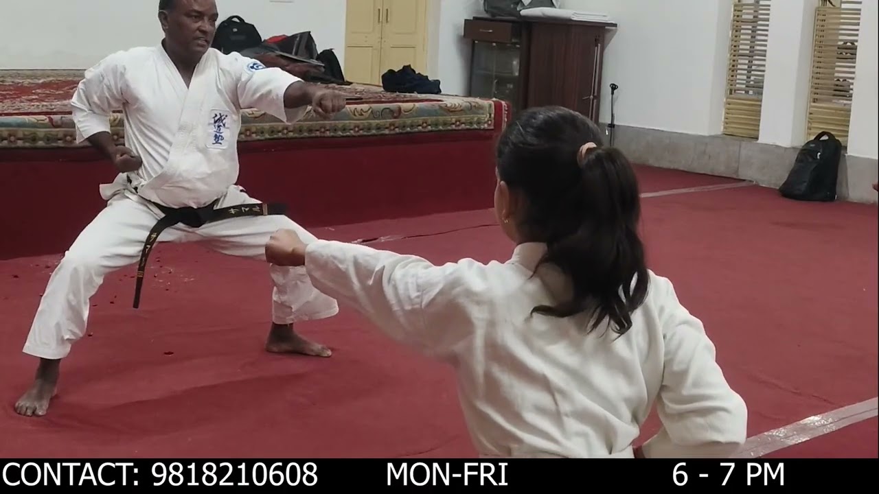 4x8 CHUDAN TSUKI MOVING PUNCH (ARYA SAMAJ)
