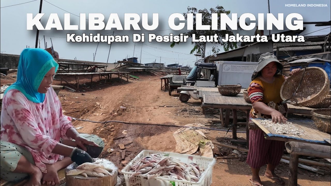 Kehidupan Di Permukiman Padat Pesisir Laut Kalibaru Jakarta | Real Life In Jakarta Indonesia