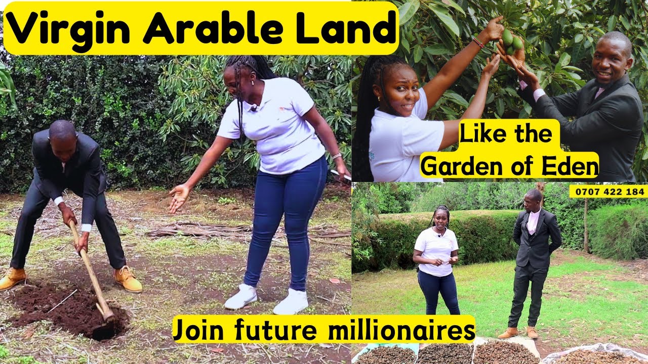 We Found Land Suitable for Farming in Gilgil, Nakuru County, Sold in Acre Blocks