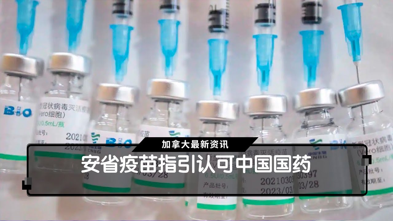 安省疫苗指引认可中国国药  |  国粤双语新闻