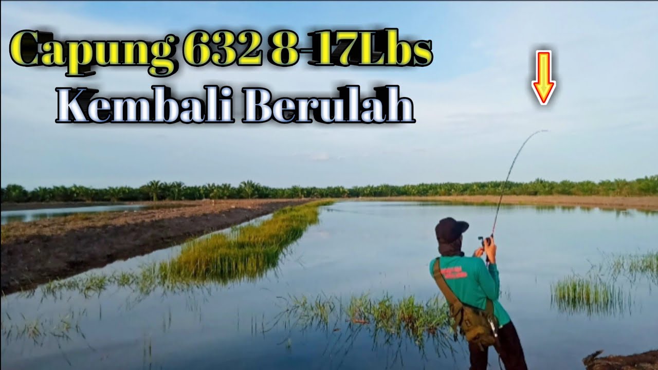 Joran 8-17lbs dibuat Melengkung || Capung 632 8-17lbs X Kastking Crixus+