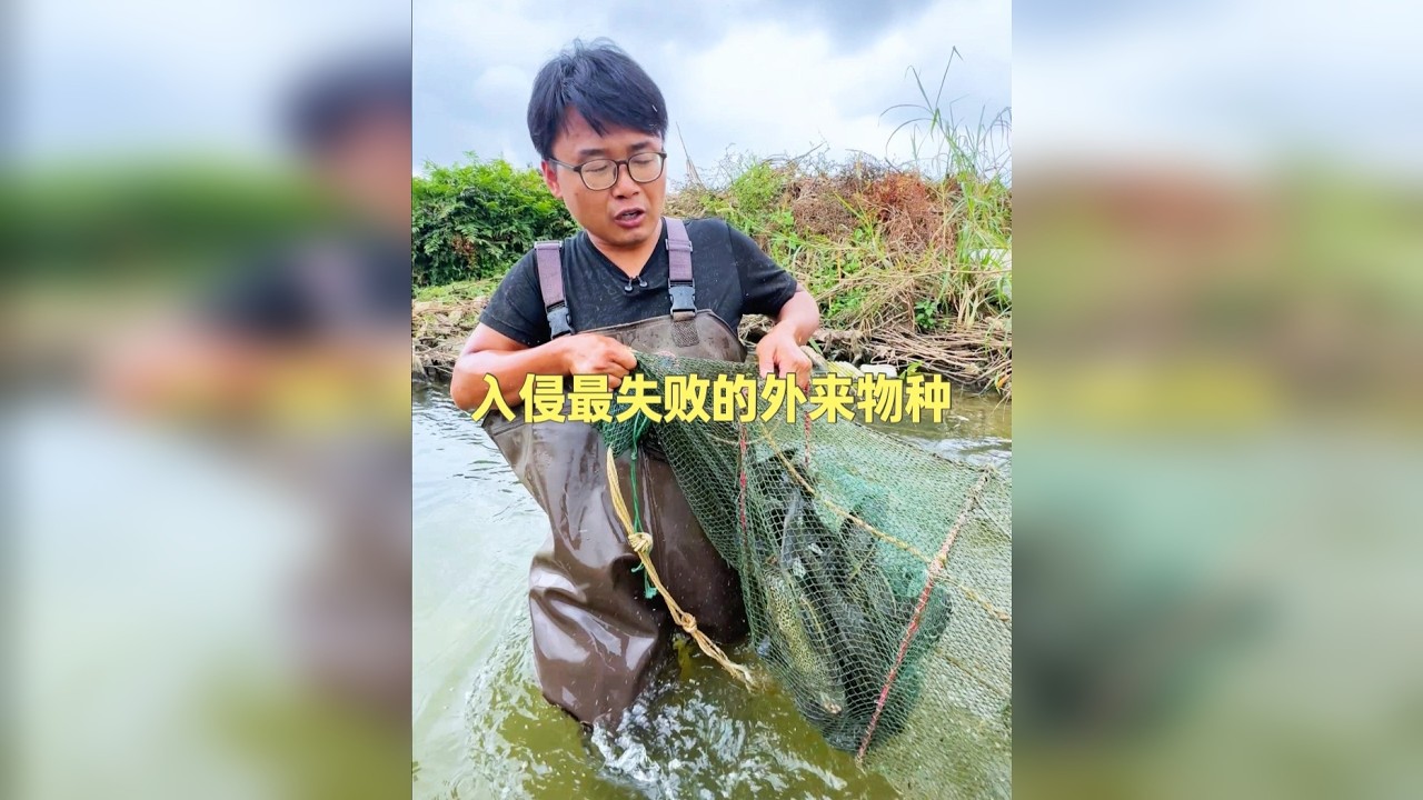 入侵我国最失败的几个外来物种，你们知道是谁吗