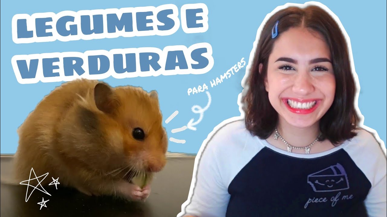 ALIMENTAÇÃO DE HAMSTERS: TUDO sobre legumes e verduras na dieta dos hamsters | HAMSTERS #17