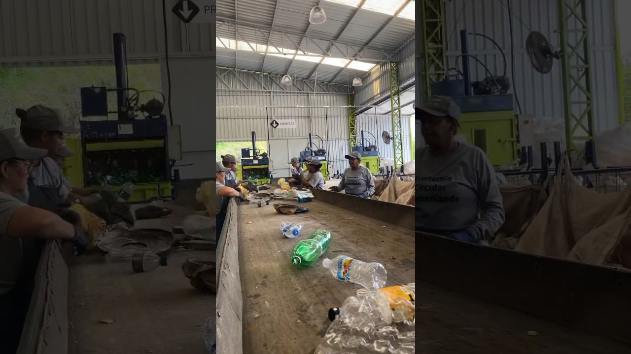 Trabalhando no Cooperativa de Reciclagem #criadordeconte&uacute;do #river #vlog #filmmaker
