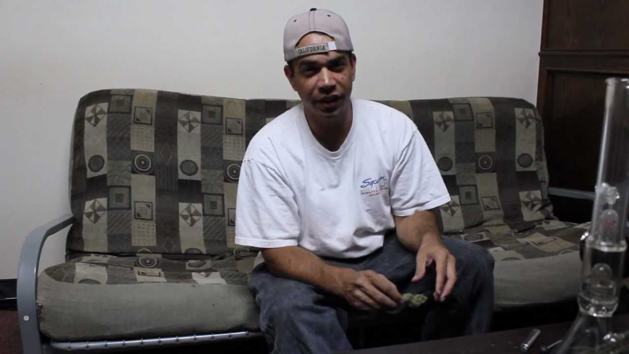 The Weedview: V.S.O.G.