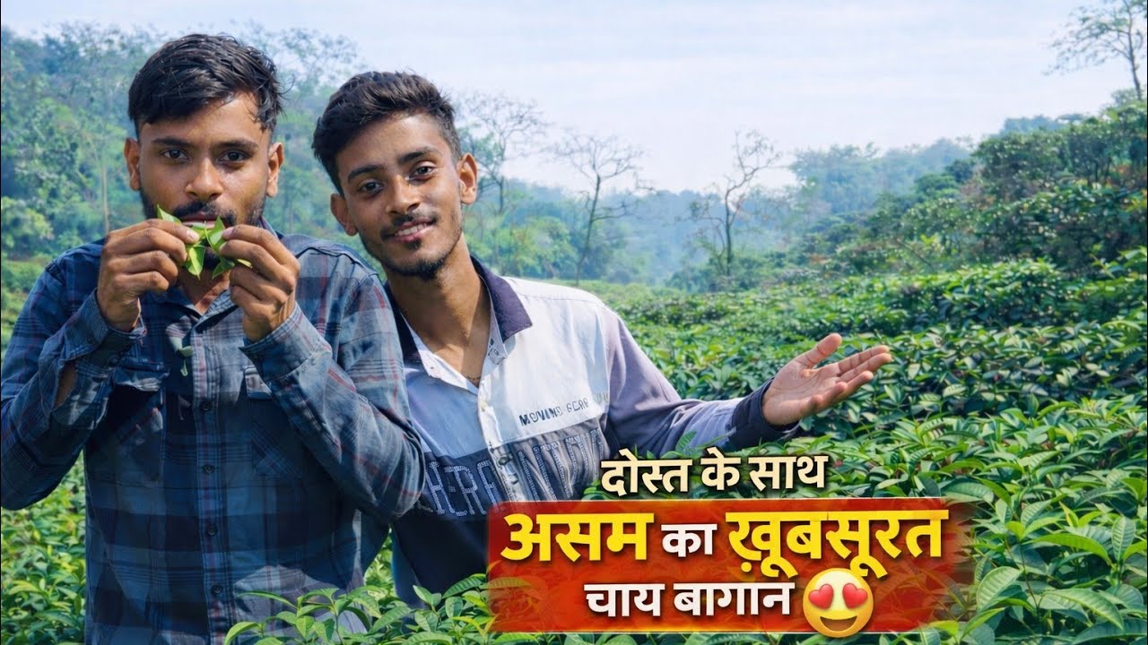 असम का सबसे खूबसूरत Tea Garden 🌿😍 | Nature Lovers Must Watch