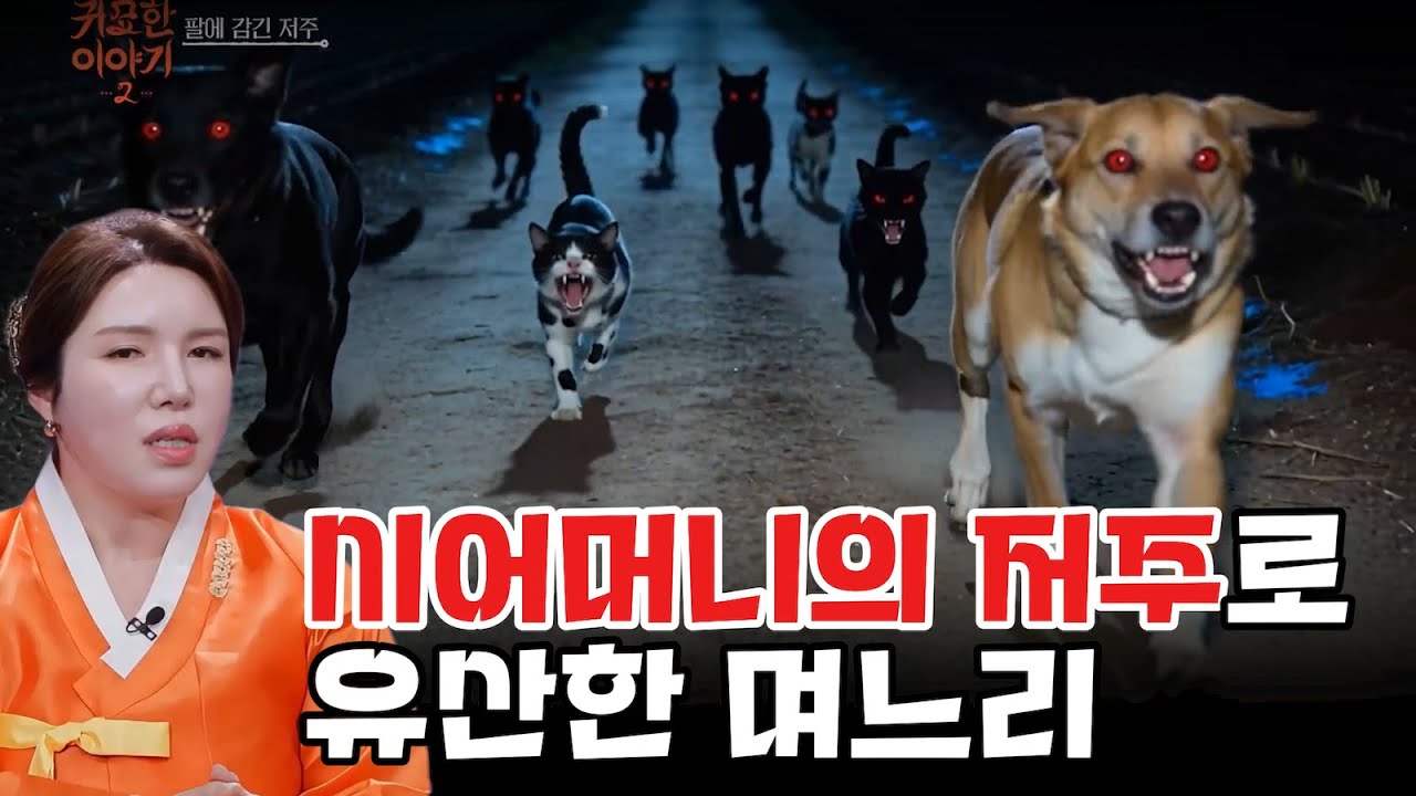 며느리를 유산 시키려고 저주를 건 00을 선물한 시어머니의 최후! #명화당 #귀묘한 이야기