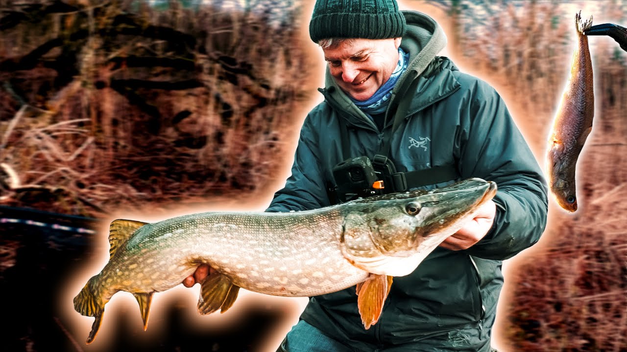 Hechtangeln mit totem Köderfisch - so habe ich 40 Jahre nicht geangelt!