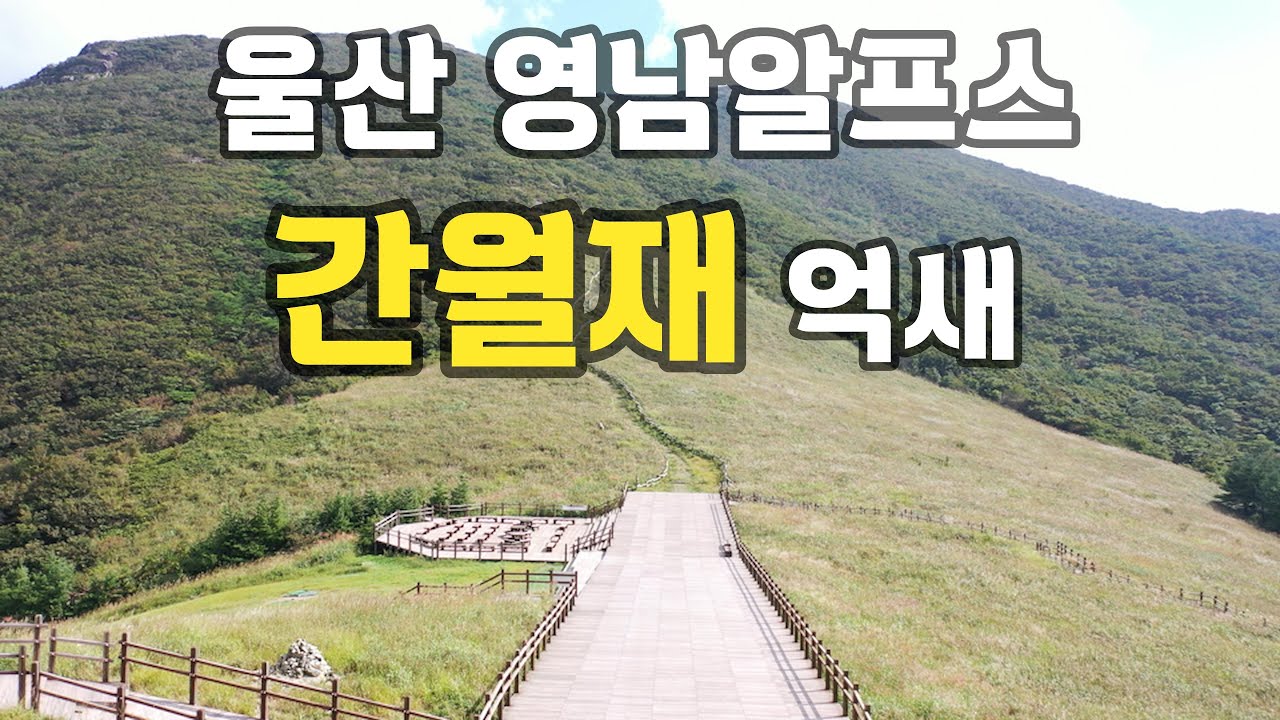 울산 영남알프스 간월재 억새 최고다~!