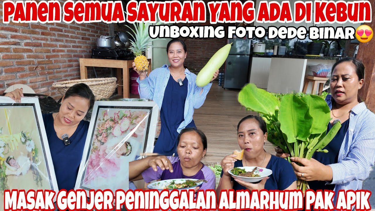 PANEN SEMUA YG ADA DI KEBUN SEBELUM PUASA‼️PANEN NANAS,LABU CINA,BUNCIS,GENJER PENINGGALAN PAK APIK 