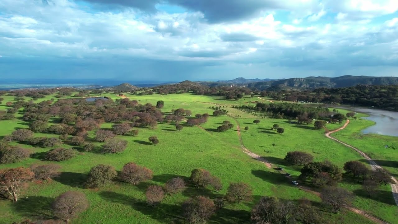 Cienega de los Pinos,  Sierra del Laurel