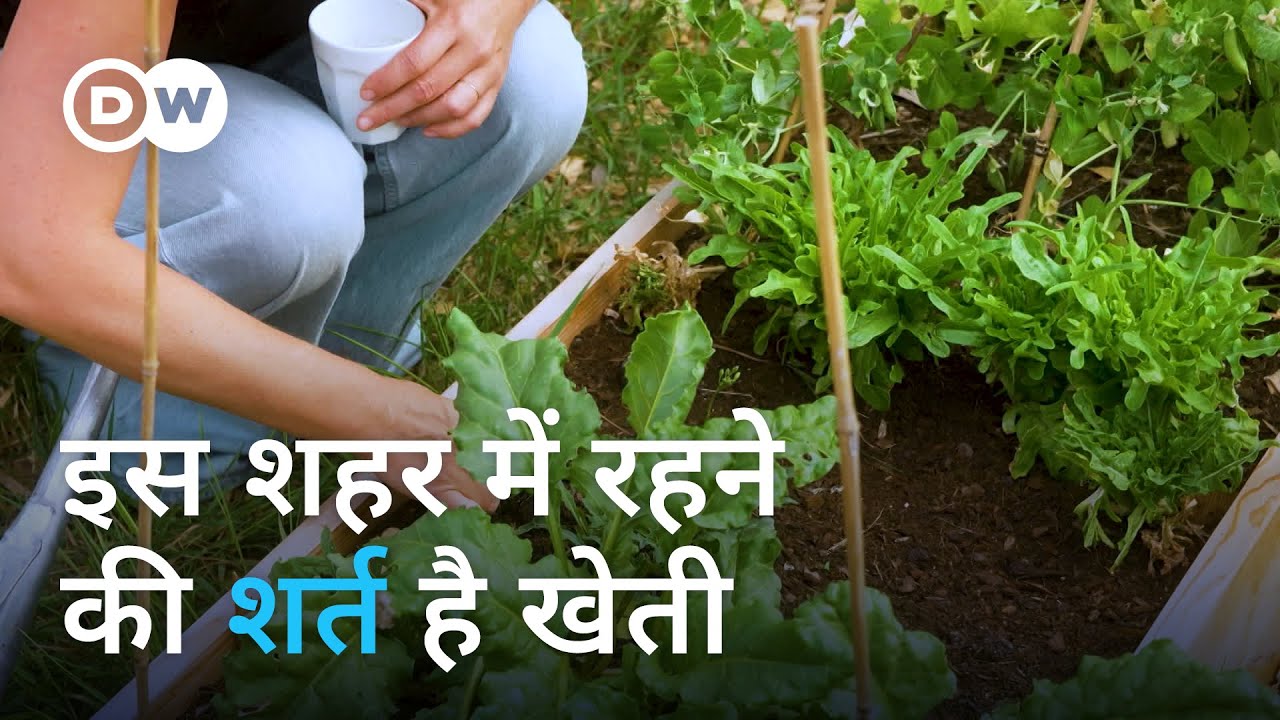 इस शहर में रहना है तो खेती करनी होगी [Oosterwold - where residents must grow food]