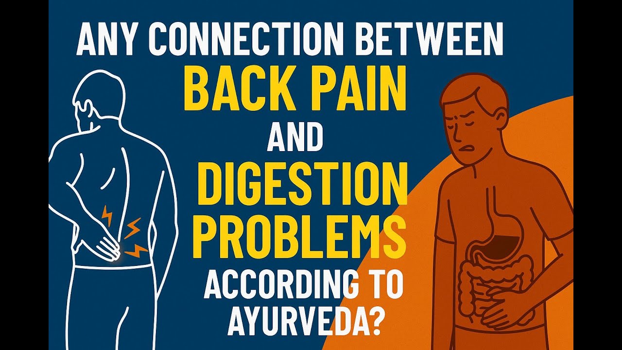 പുറം വേദനയും ദഹന പ്രശ്നവും | 5 WAYS Back Pain Can RUIN Your Digestive Health