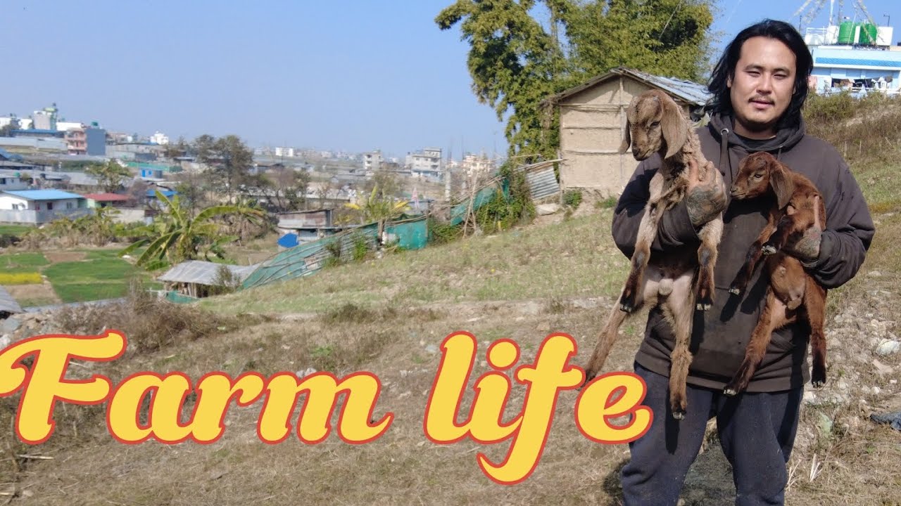 Best life farm life #