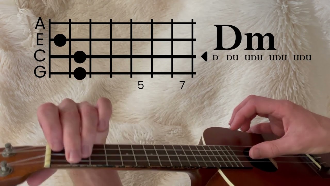 Dan Auerbach - Never In My Wildest Dreams // Ukulele Tutorial