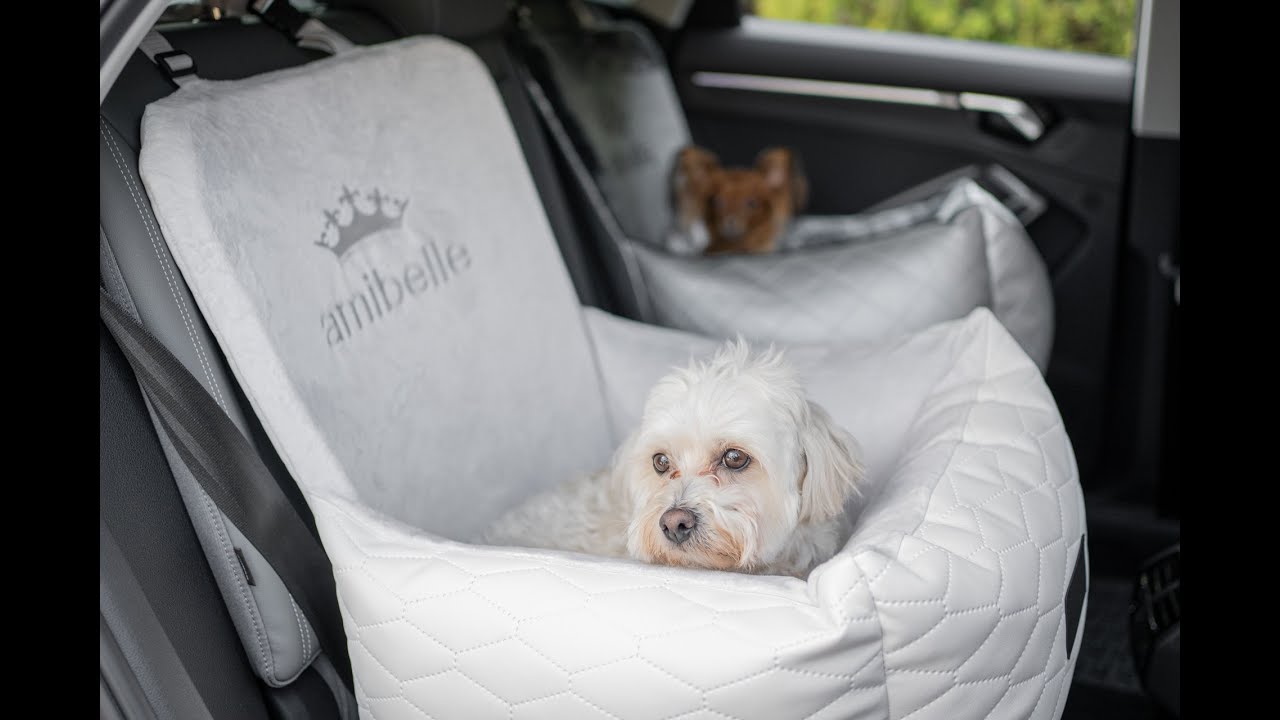 Amibelle transporter samochodowy pl