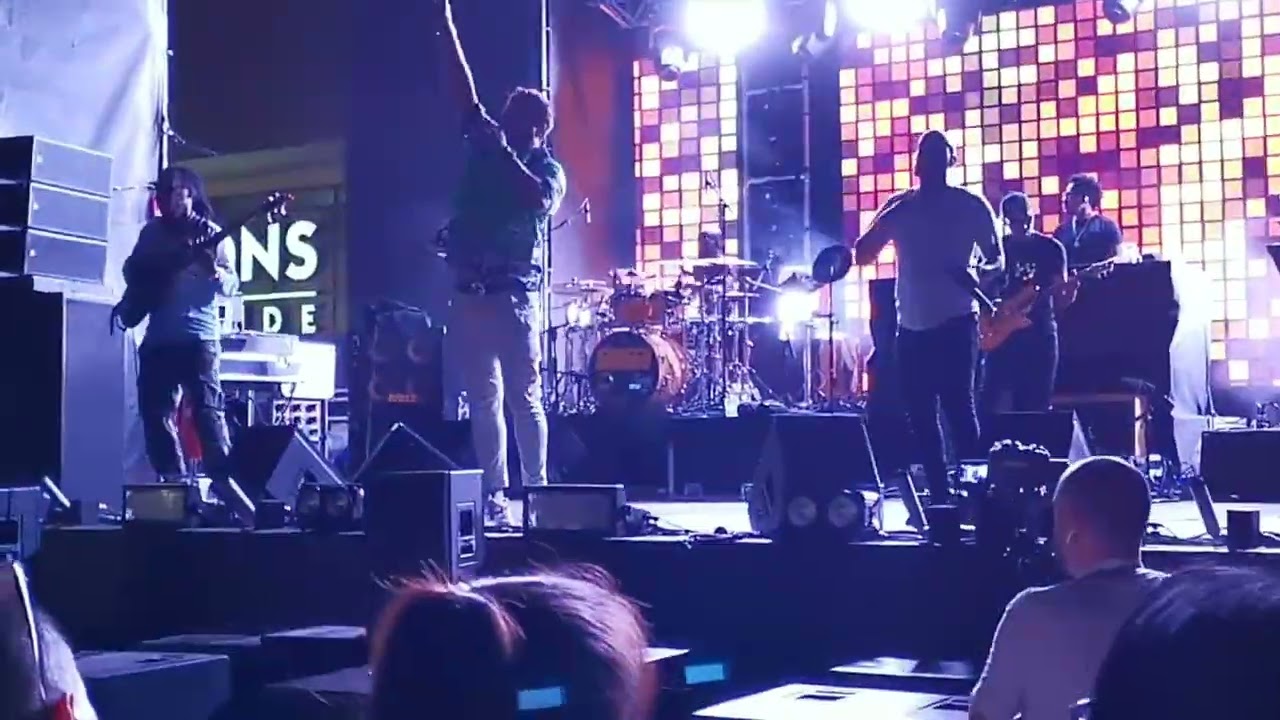 Shaggy - Stand Up And Fight