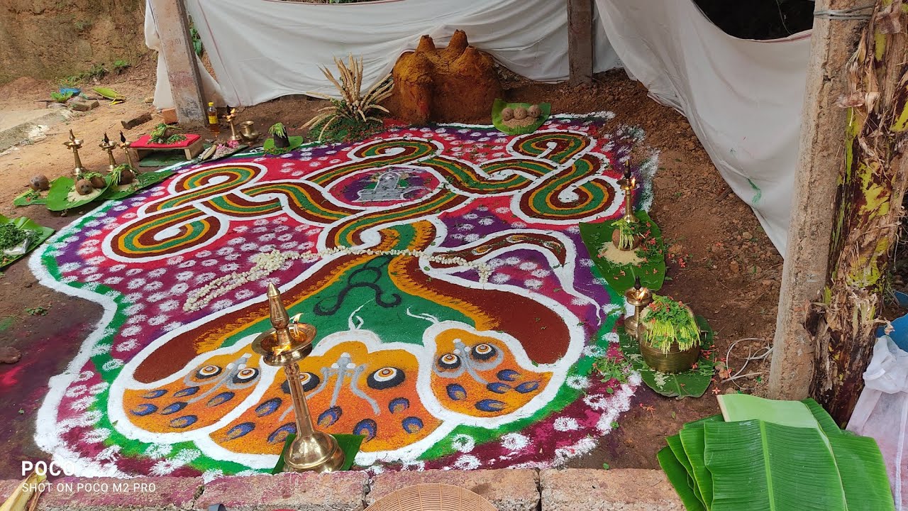 Sree vasuki Nagaraja temple#Pulluvan pattu and Nagaroottu