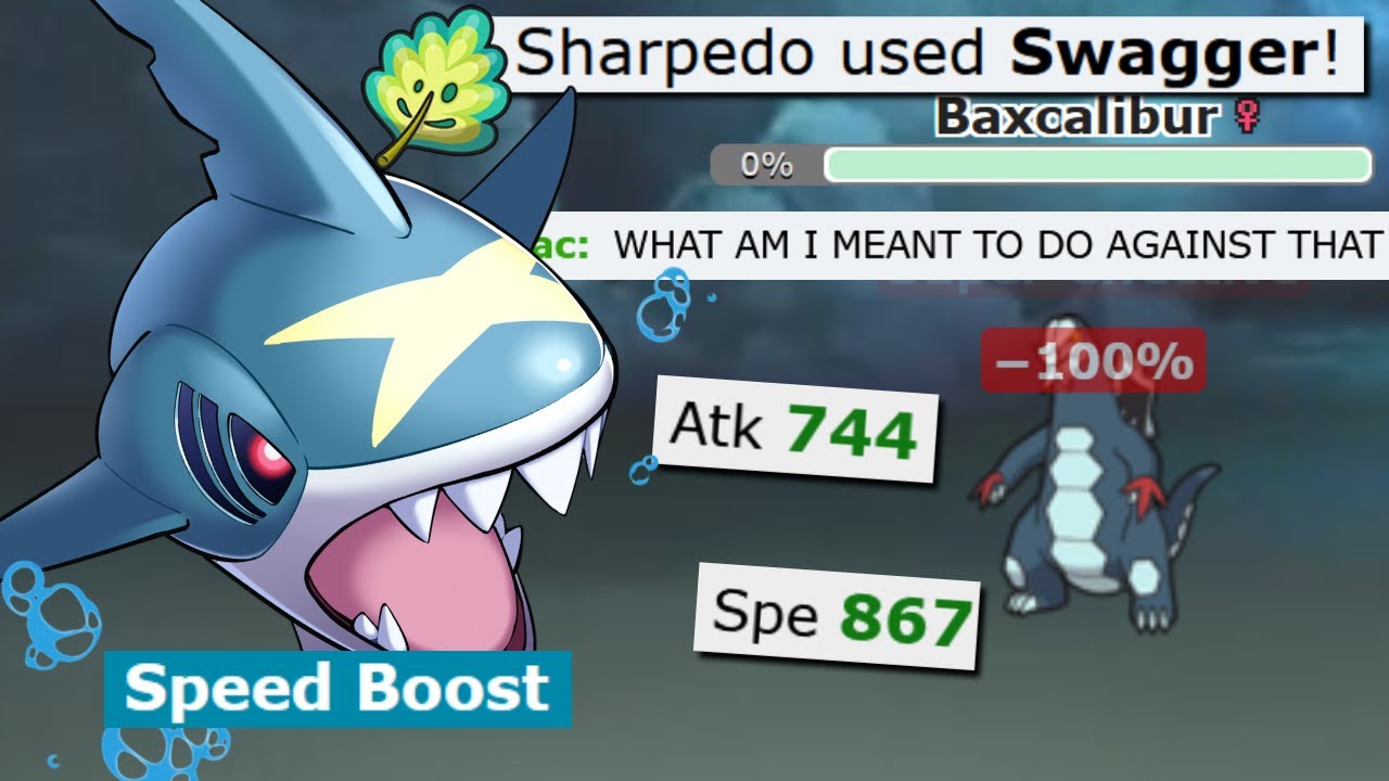 SPEED BOOST MIRROR HERB SWAGGER SHARPEDO IS BROKEN IN POKEMON SCARLET AND VIOLET!