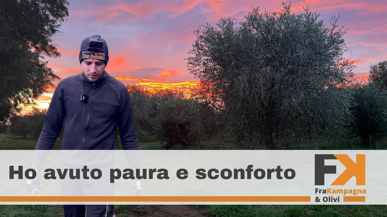 3000 olivi potati in 7 giorni  