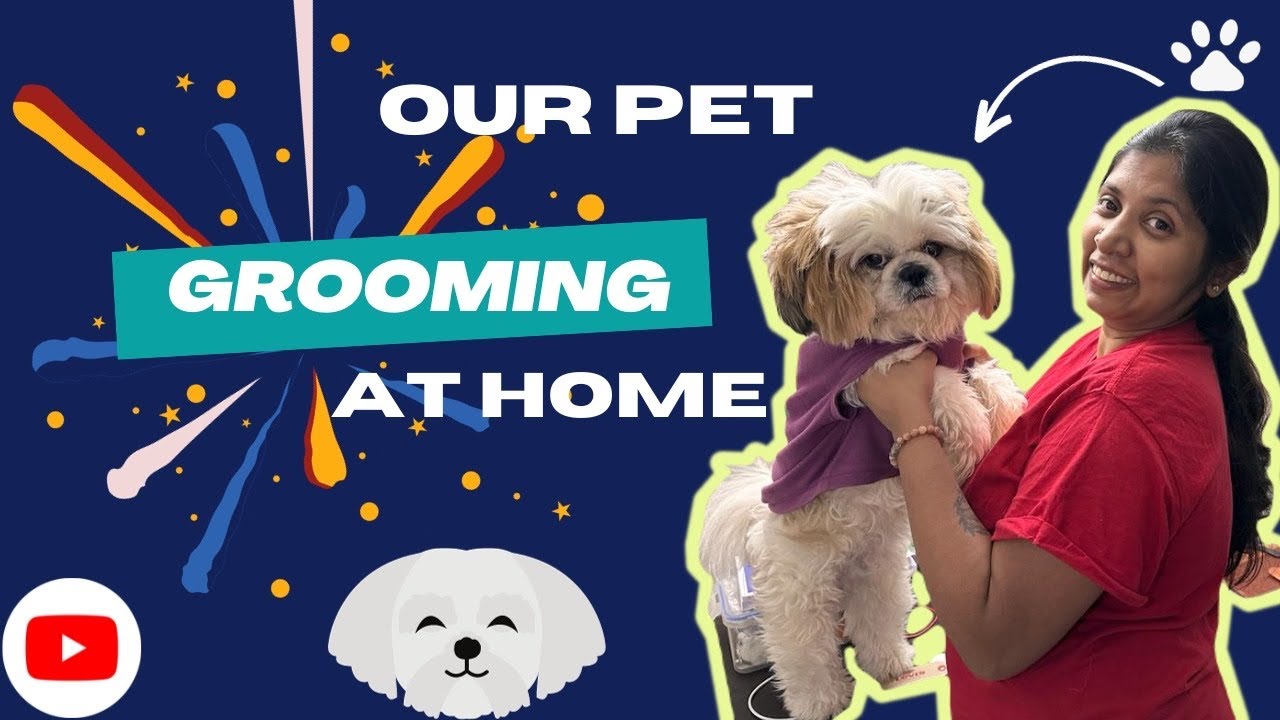 Pet Grooming Service At Home | Pet Grooming in Hyderabad | The ZigZag Life |