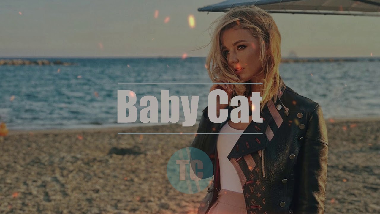 Baby Cat (Drake Type Beat) | 123BPM