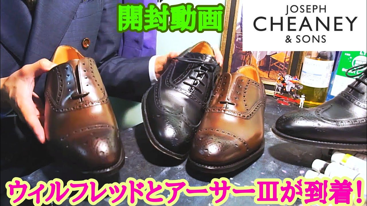 チーニーのウィルフレッドとアーサー3 開封動画